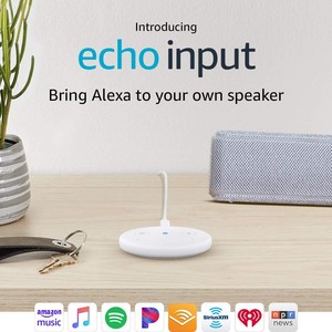 echo input ebay