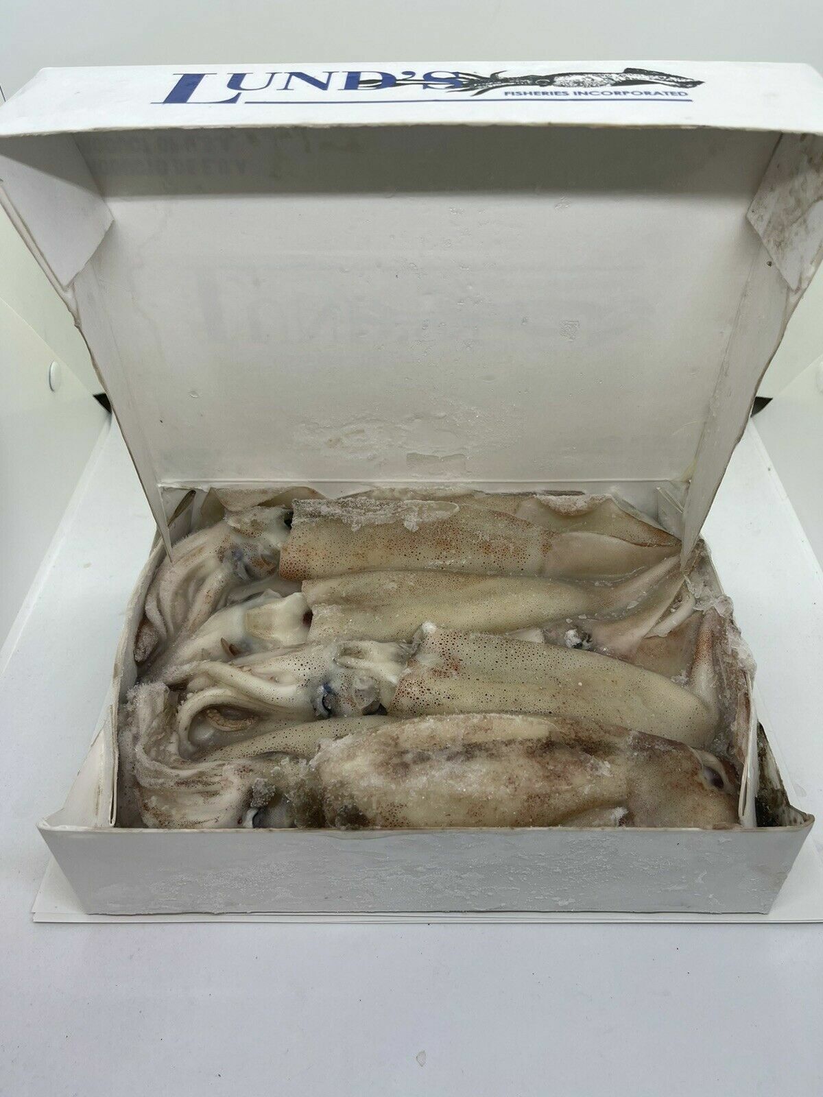Frozen Sea Fishing Bait Frozen Squid, Unwashed Squid, Baby Squid, Clean Squid eBay