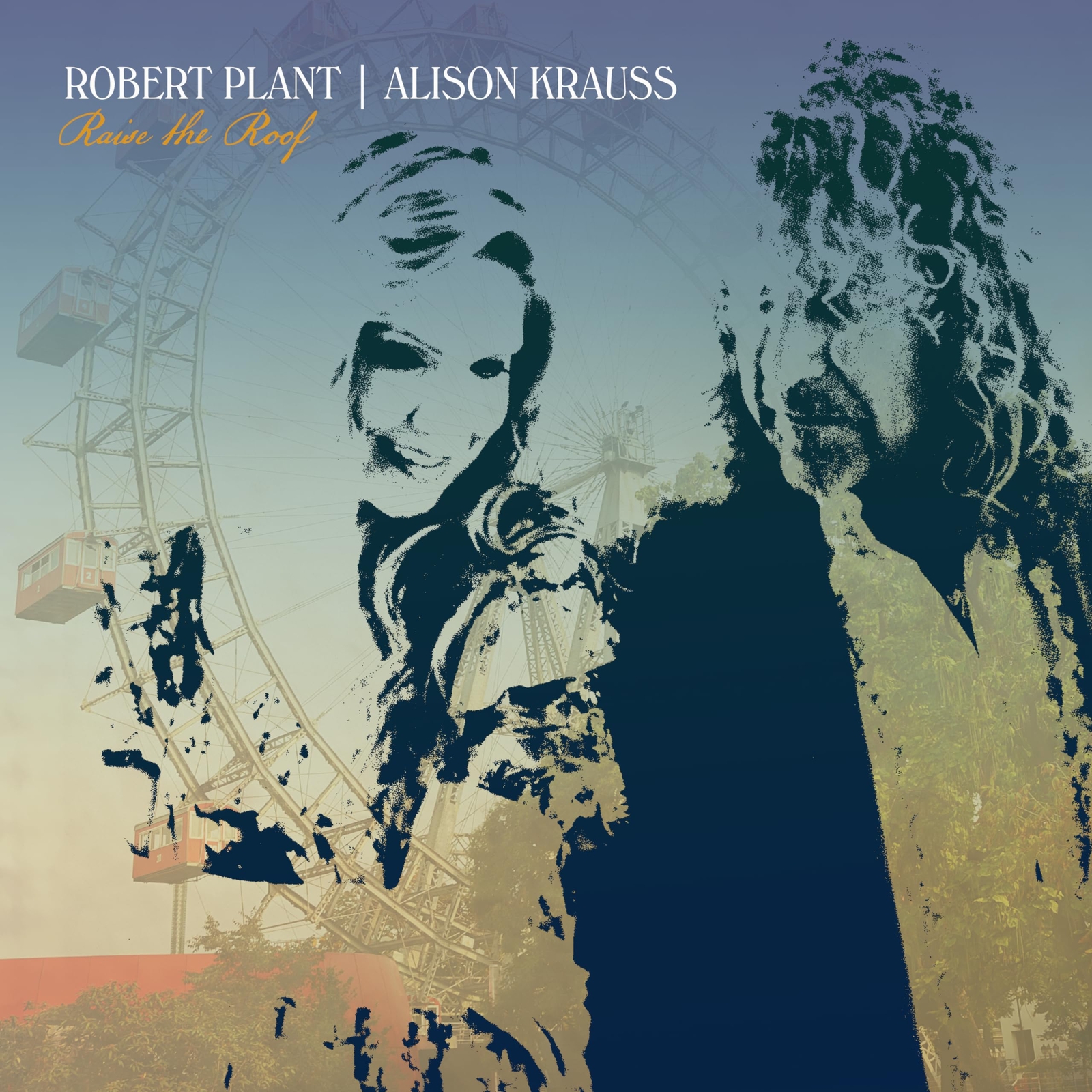 Robert Plant/Alison Krauss Raise The Roof (Vinyl LP)