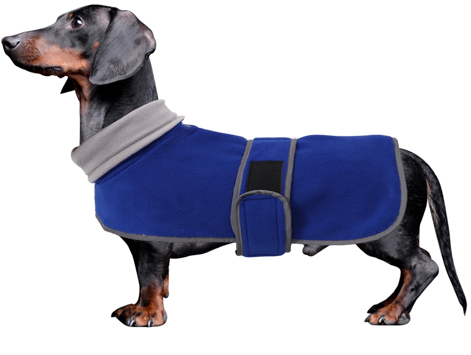 Veste pour chien col montant imperméable avec doublure polaire