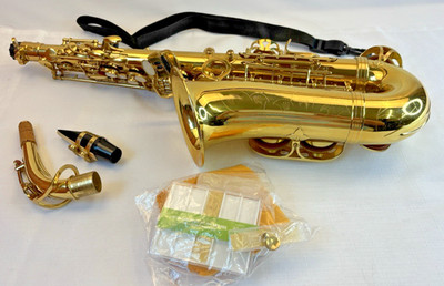 Unbranded Alto Saxophone: Gold in soft sided case w/ extras