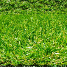 Rotolo Di Tappeto Erboso Artificiale, Moquette Terrazza O Giardino, Altezza 20 M