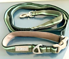 Frisco 6ft Running Hands Free Bungee Leash Green Stripe