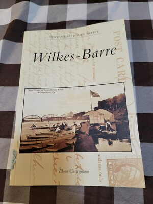 #ad Wilkes Barre by Elena Castrignano English Paperback Book Excellent $34.99