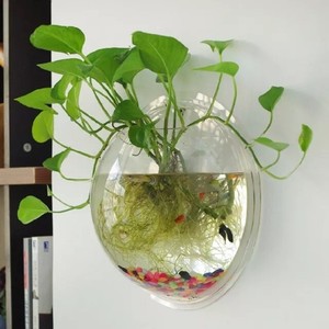 fish tank planter