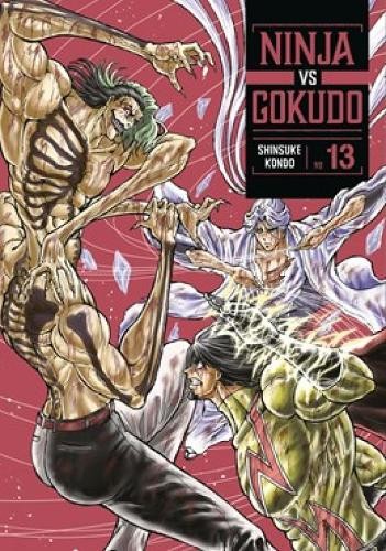 Ninja Vs. Gokudo 13 by Shinsuke Kondo - 9798888774540