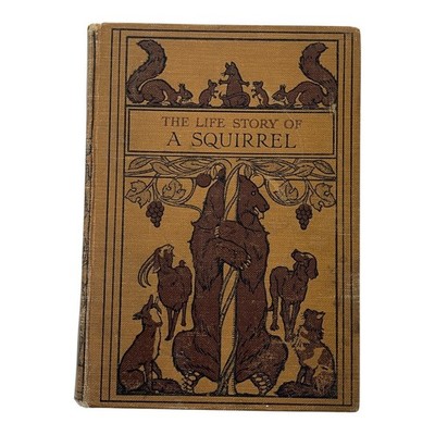 Life Story of A Squirrel T.C. Bridges Hardcover 1923 Vintage Illustrated