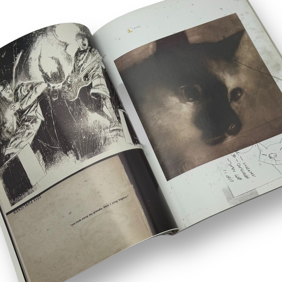 Uno Fanta Art Collection of Ashley Wood IDW Comics Artist