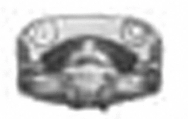 Pinza de freno de disco Foto 2 de 4