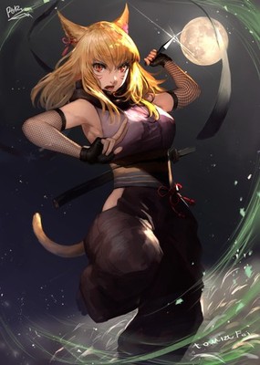 Anime girls art 2d portrait display kunoichi ninjas cat Custom 11x17 Poster