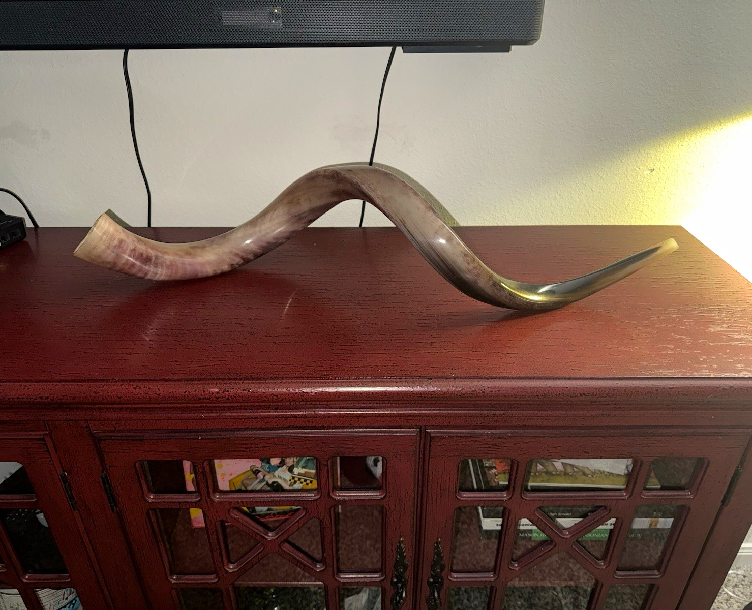 Brand New 42" Polished Yemenite Kudu Shofar Horn XXL Authentic Kosher Israel
