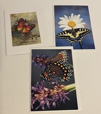 Lot Of 3 Blank Greeting Cards Butterflies With Envelopes New