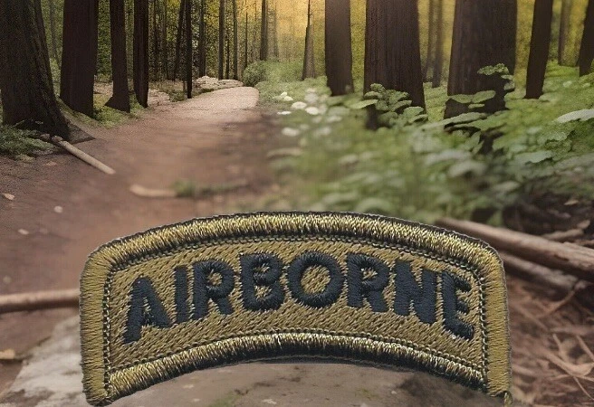Brown Black 101st Airborne Division Tab Patch VELCRO® BRAND Hook Side Only - Image 2 of 4