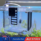 Acrylic Fish Breeding Isolation Box Hanging Fry Breeder for Newborn Fry Guppy
