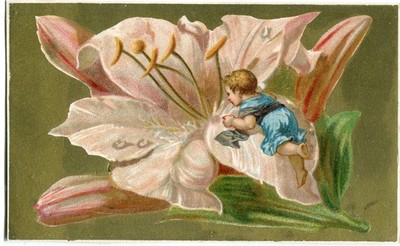 Glanzbilder scraps Karte  Litho Fee Kind in Blüte Lilie rosa 13,1 cm