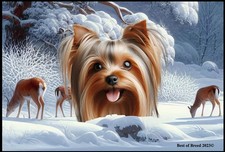 Silky Terrier Winter Wonderland Floor Mat