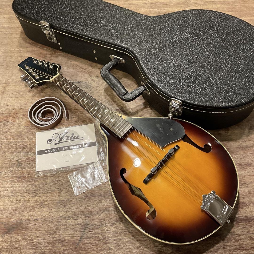フラットマンドリン アリアAM-200E ARIA（アリア） Aria AM-200E Electric Mandolin フラットマンドリン