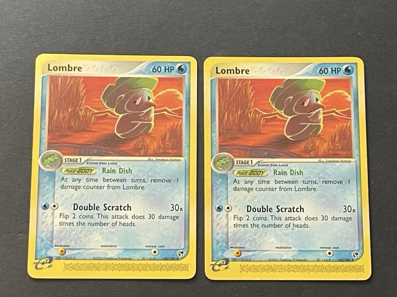 Lombre 45/100 EX Sandstorm Pokemon Card Regular Uncommon LP x2