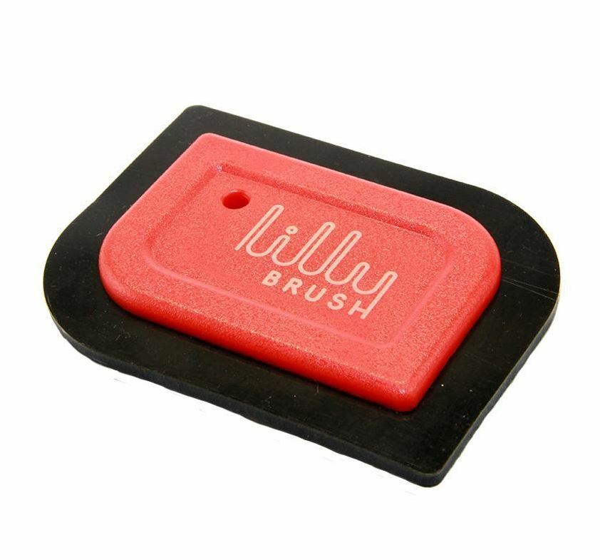 Lilly Brush Mini Car Auto Detailing Pet Hair Remover eBay