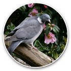 2 x Vinyl Stickers 25cm - Pretty Pigeon Bird Garden Flowers  #46210