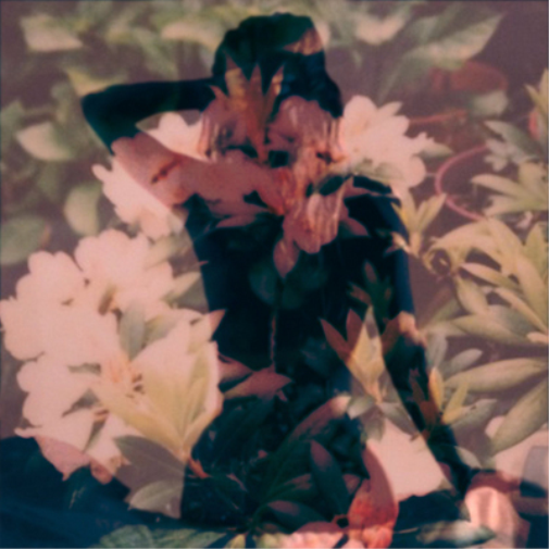 Modern Vices Modern Vices (Vinyl LP) 12" Album