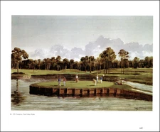 1992 Vintage Print TPC Sawgrass Ponte Vedra Florida Golf Course Watercolor Image