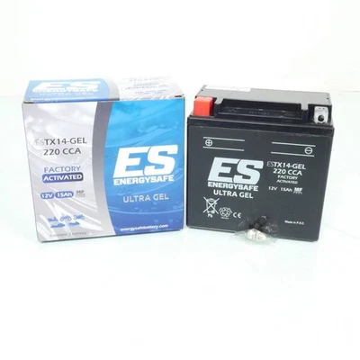 Batterie SLA Energysafe pour Moto Yamaha 1200 Fj Sans Abs 1991 à 1992 YTX14 / - Photo 1/2
