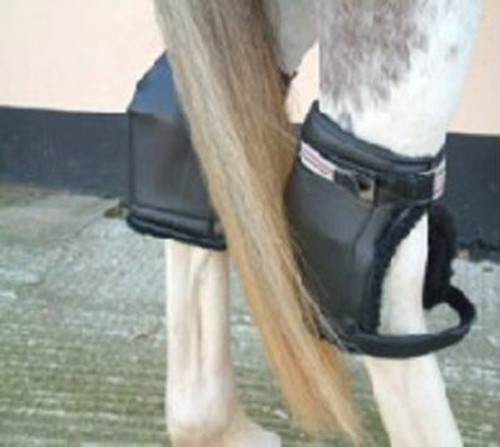 Clarendon HOCK Protective Travel Stable 