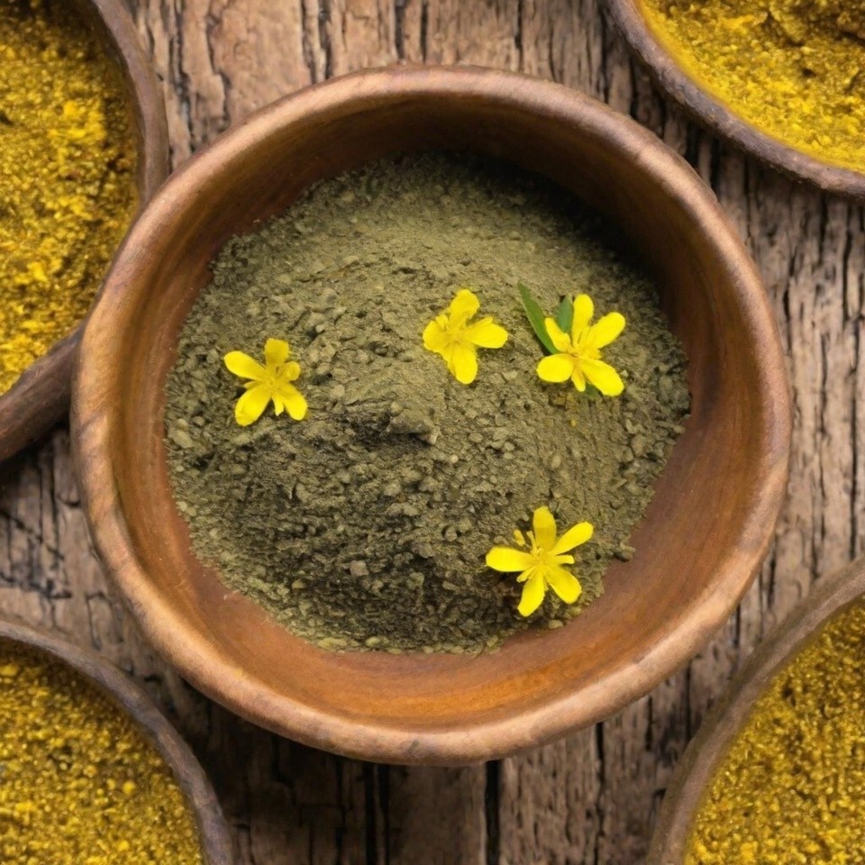Polvo concentrado hierba hierba de Saint Johns Hypericum perforatum adaptógeno