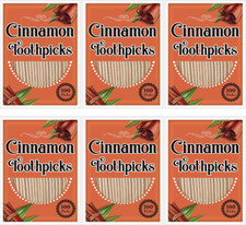 600 Picks Cinnamon Flavored Toothpicks Bulk for Adults...