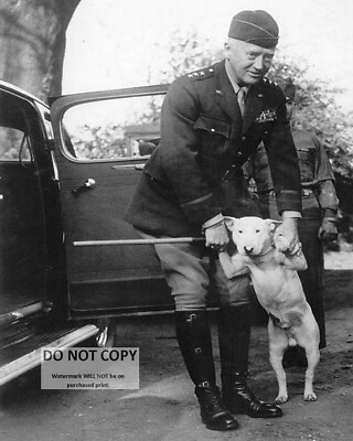 #ad #ad GENERAL GEORGE S. PATTON WITH BELOVED DOG quot;WILLIEquot; 8X10 PHOTO AB 105 $10.98