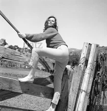 1950s Negative-sexy brunette pinup girl Shirley Reed-cheesecake t210421