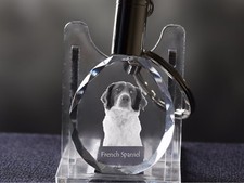 Épagneul Français, Chien