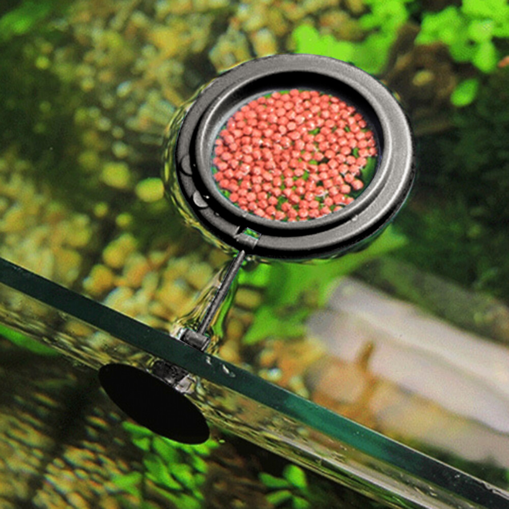 3 Pcs Pvc Suspension Feeding Ring Floating Fish Feeder Rings Betta Food eBay