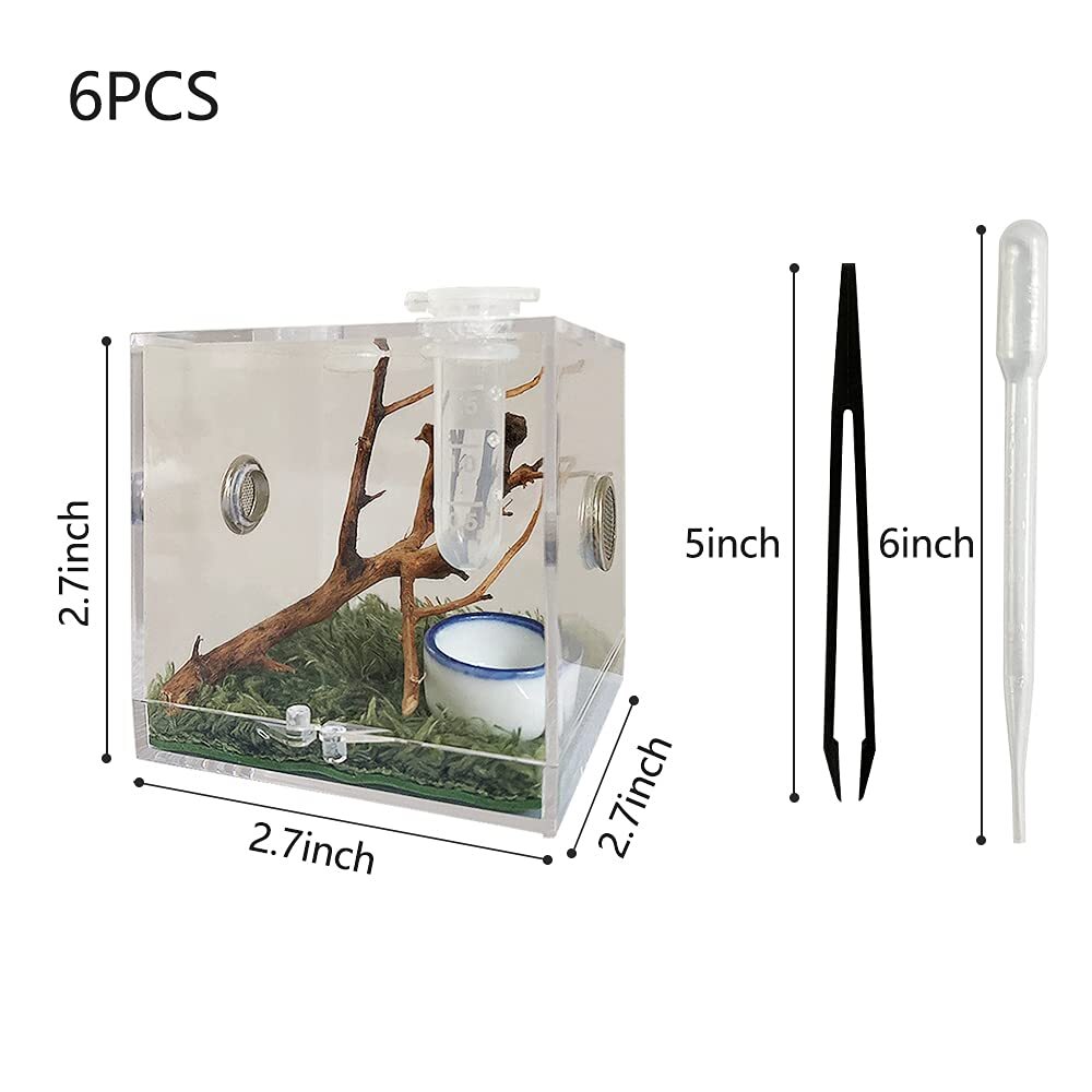 JOBEDE Jumping Spider Enclosure, Jumping Spider Habitat with