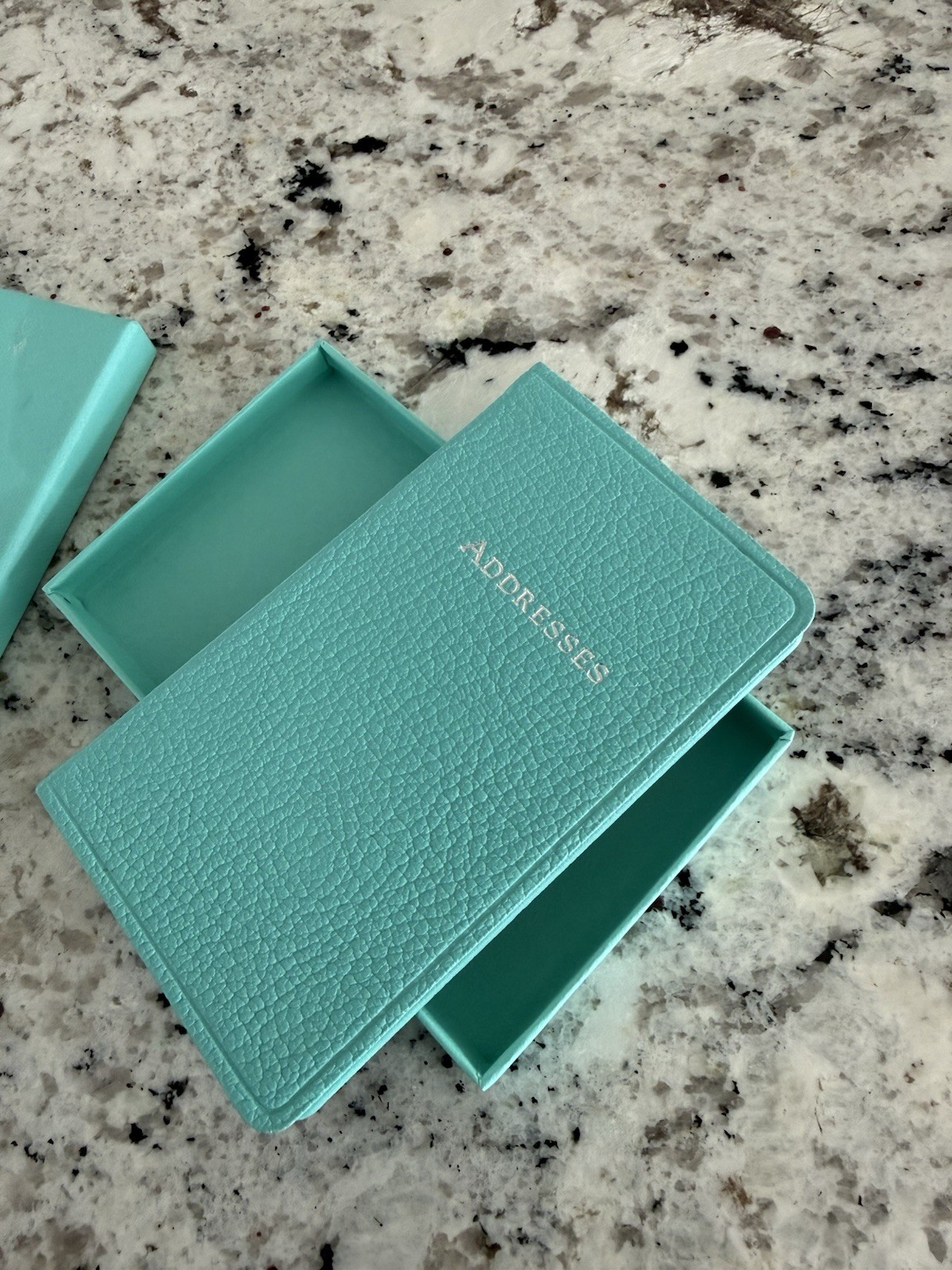 Tiffany & Co. Leather Address Book