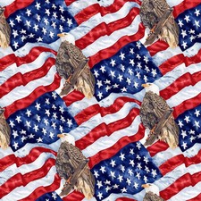 Patriotic Fabric  Wings of Freedom Eagle on American Flag  Henry Glass YARD