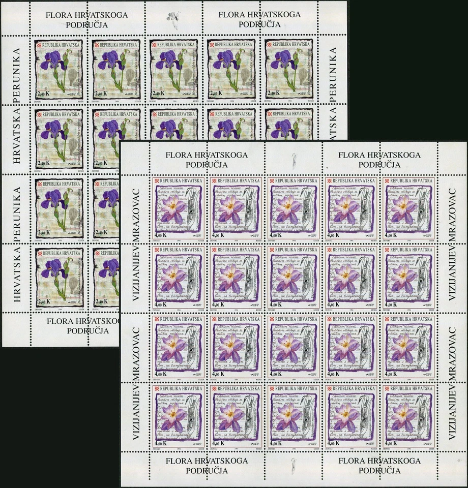 Croatian Flora - Common Poppy