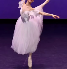 Professional Ballet Romantic Lace Tutu Costume Dress for YAGP Competitions White