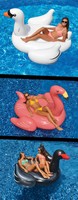 Swimline Swimming Pool Giant Rideable Float Set, White/black Swans + Flamingo on sale Swimline Swimming Pool Giant Rideable Float Set, White/black Swans + Flamingo on sale