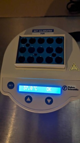 FISHER SCIENTIFIC MODELLO: 14955218 Mini Blocco Calore DC12V 4A con Adattatore di Alimentazione - Foto 2 di 10