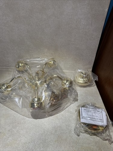 Angelo Lighting Company Polished Brass Finish Frosted Tulip Glass Shades #66094 - Picture 2 of 8