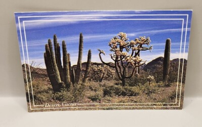 Postcard SAGUARO Desert Cactus Southwest Organ Pipe | eBay