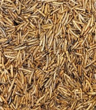 White Worms--Freeze Dried, Great for smaller Tropicals and Marines 7g-56g