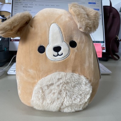 Squishmallow Stevon Small Puppy Plush 
