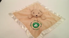 Boston Celtics Teddy Bear Shamrock Lovey Plush Security Blanket by Baby Fanatic