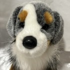 Douglas Sinclair Australian Shepherd Dog #2019 Plush 16" Realistic - Nice! — photo 2