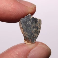 Triceratops Ceratopsian Tooth - Dinosaur Fossil  Hell Creek Formation Cretaceous