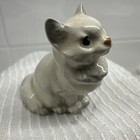 Foto 10 di 13