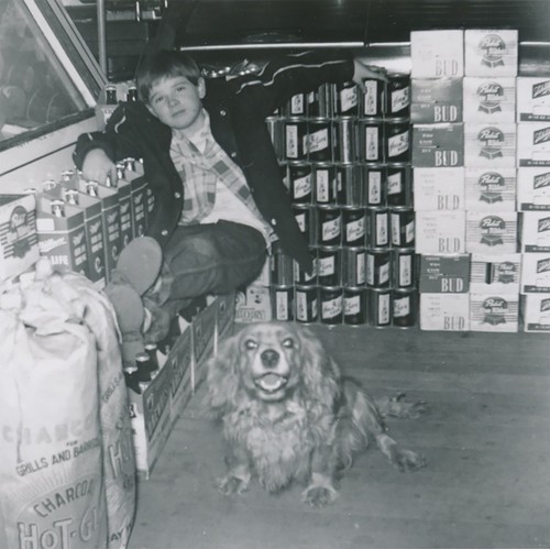 Snapshot Vintage Photo Little Boy Kid Dog Cocker Spaniel Interior Grocery Beer - Picture 5 of 5